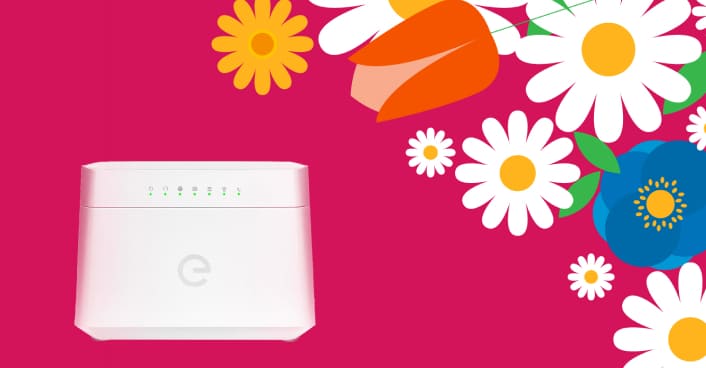 enel fibra